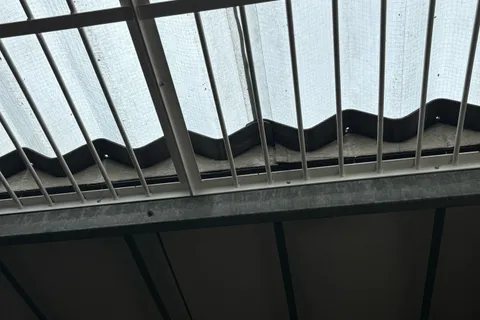 How Much Does an Asbestos Survey Cost in Bradford
